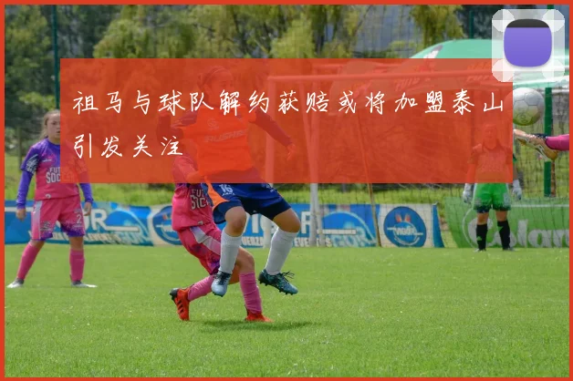 祖马与球队解约获赔或将加盟泰山引发关注